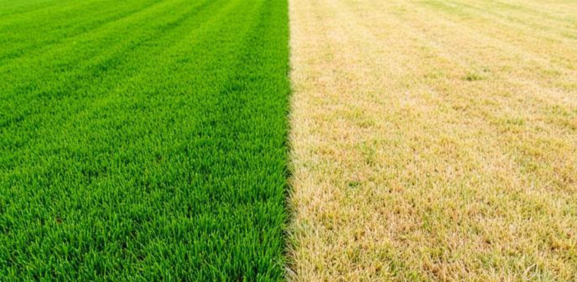 Dizajn bez názvu (2)